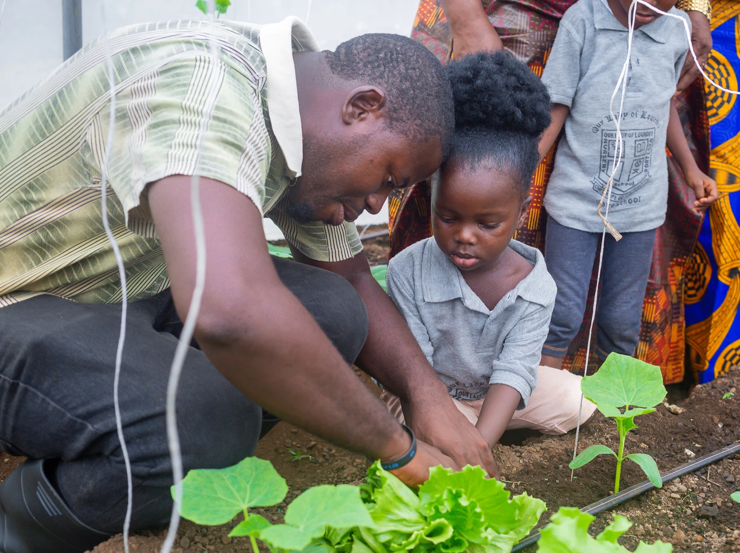  A man and a young girl carefully tending to plants in a garden.